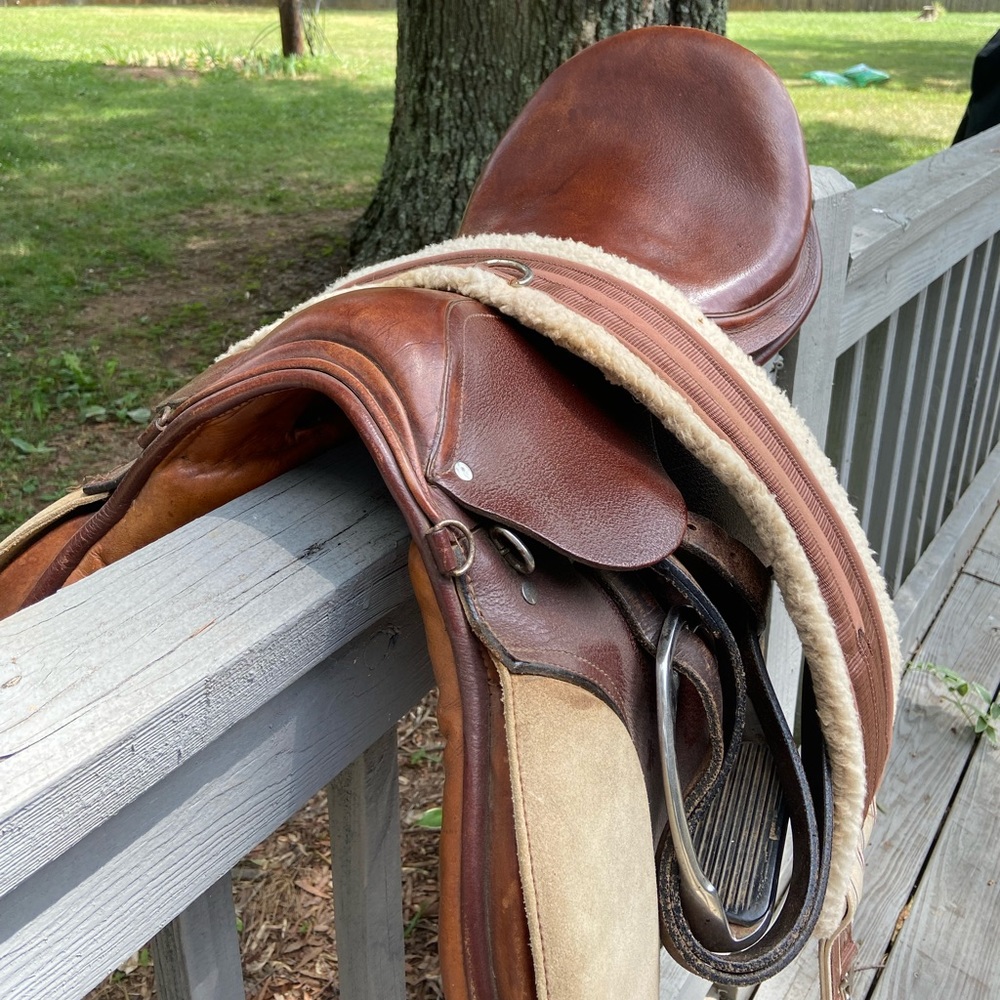 All purpose saddle
